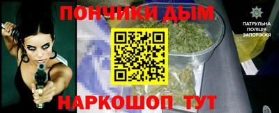 индика Долгопрудный