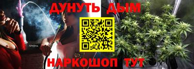 индика Долгопрудный