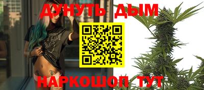 индика Долгопрудный