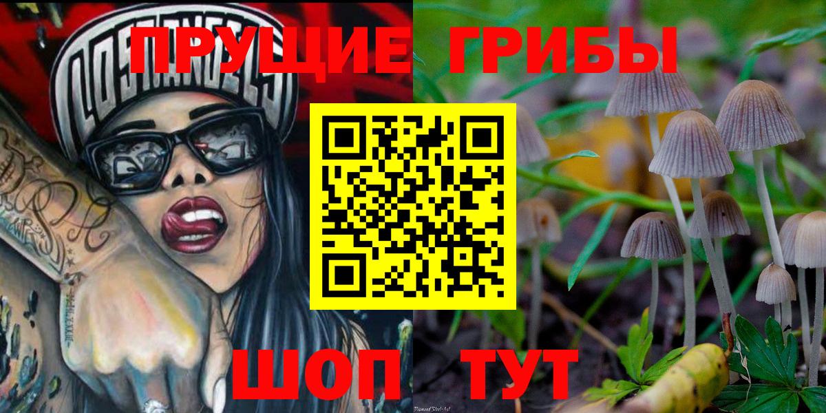 Балашиха  Галлюциногенные грибы MAGIC MUSHROOMS  Галлюциногенные грибы прущие грибы  Вход с VPN 